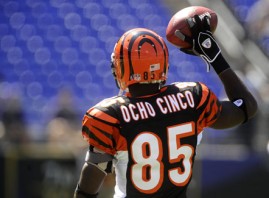 Cincinnati Bengals vs Baltimore Ravens