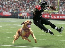 michael-vick