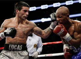 matthysse matthysse