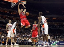 bulls3 bulls3