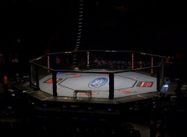 ufc_95_octagon ufc_95_octagon