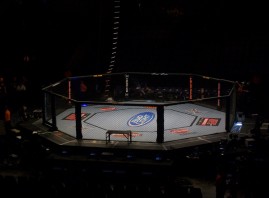 ufc_95_octagon