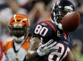texanssuperbowl texanssuperbowl